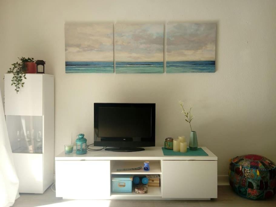 TV and multimedia
