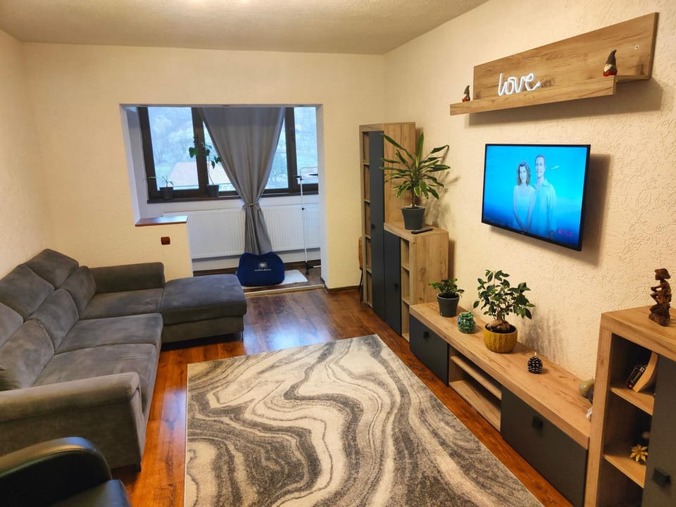 Mountain View Apartment Apartment in Romania