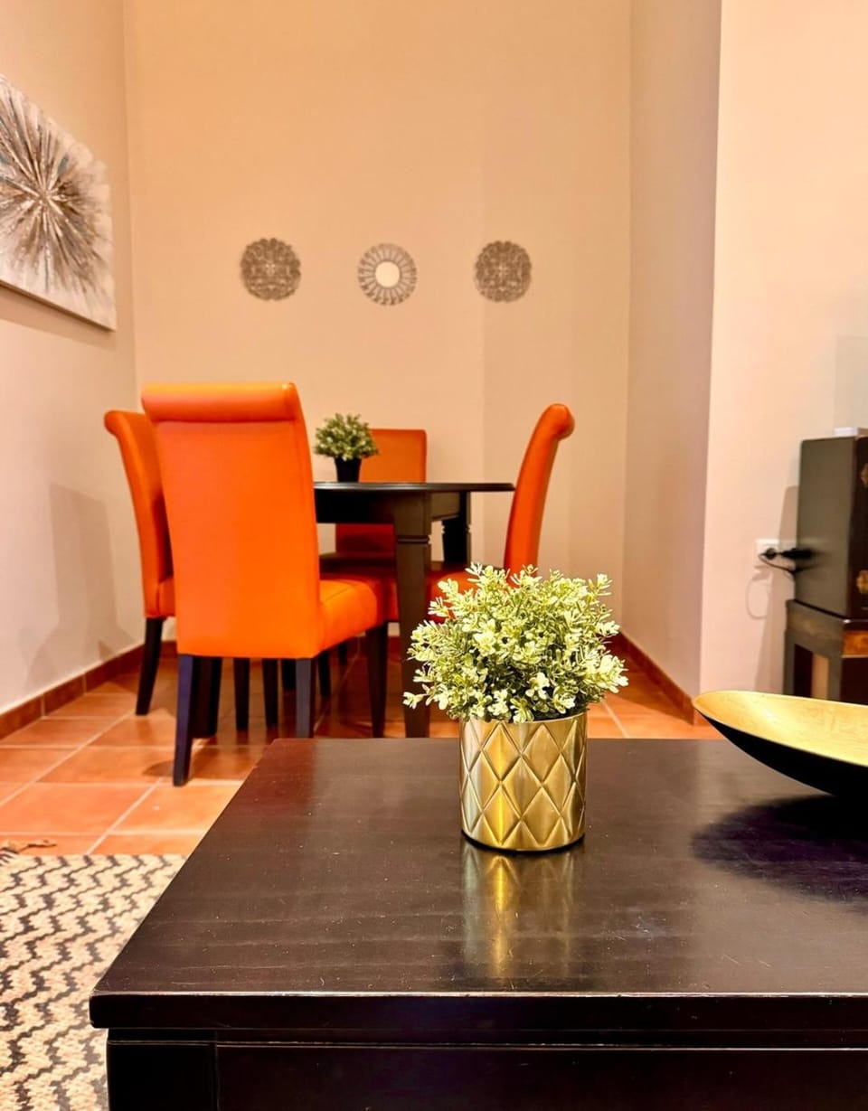 Modern duplex city center 2D2B Apartment in Seville