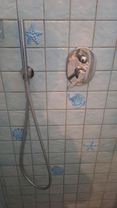 Davantialmare Apartment in Livorno