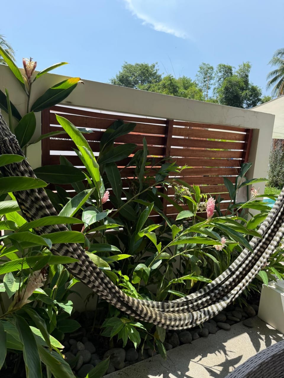 Garden view