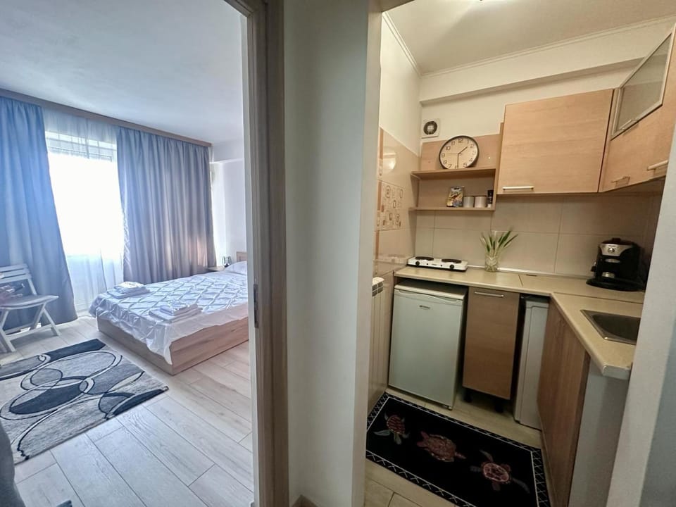 Kitchen or kitchenette, Living room, Photo of the whole room, Seating area, Dining area, Bedroom, stove
