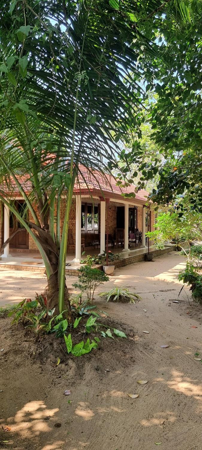 Property building, Garden