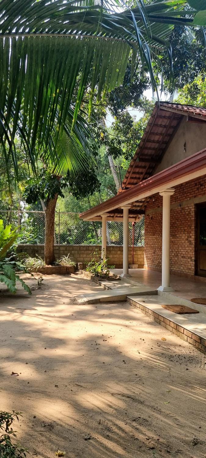 Property building, Day, Garden, Garden view