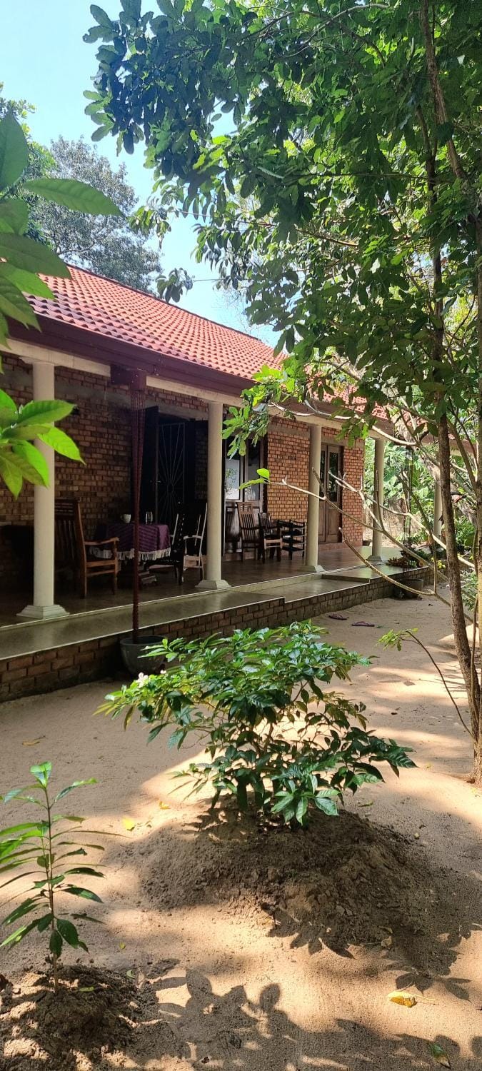 Property building, Garden view