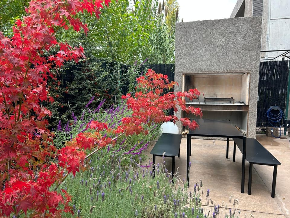 Spring, Day, BBQ facilities, Garden, Garden view