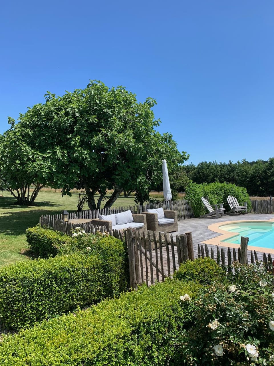 Garden, Swimming pool