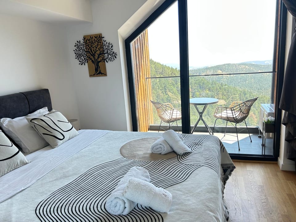 Divcibare Vrh 26 Apartment in Zlatibor District, Serbia