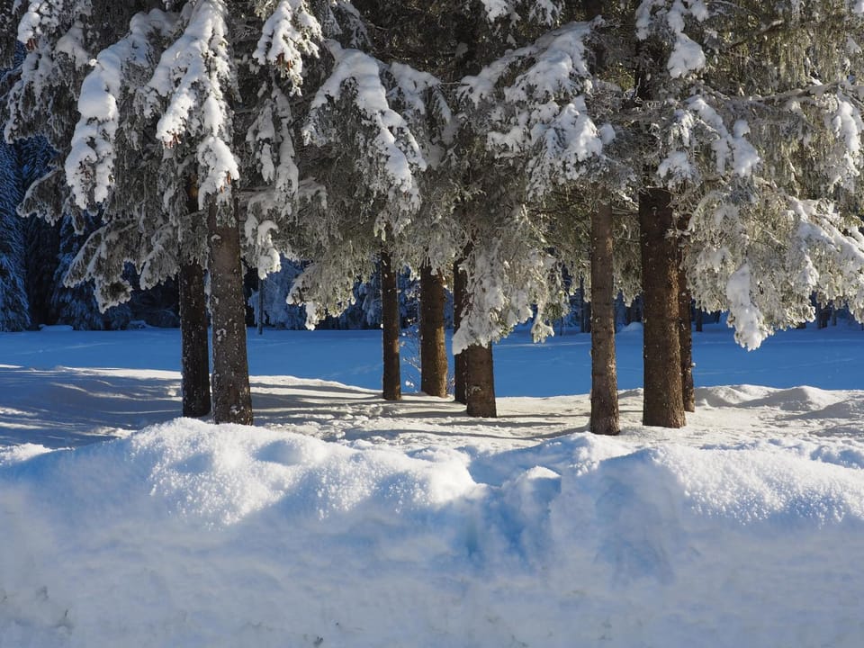 Day, Natural landscape, Winter