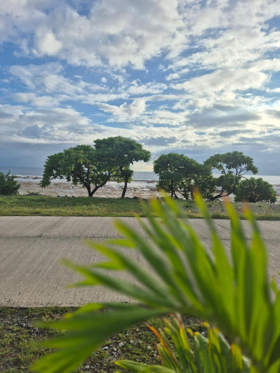View (from property/room)