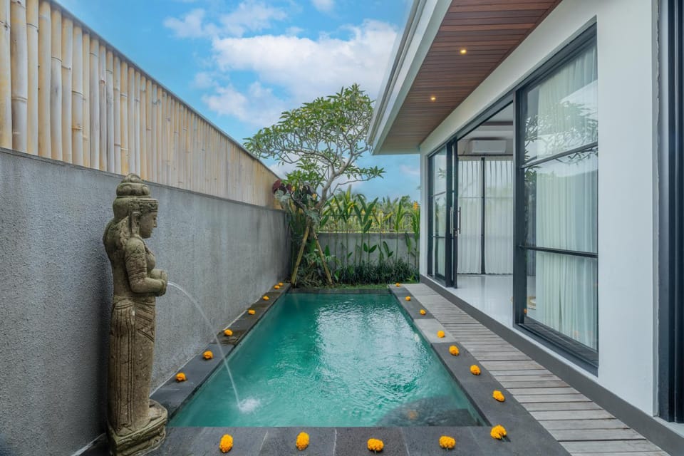 Pool view, Swimming pool