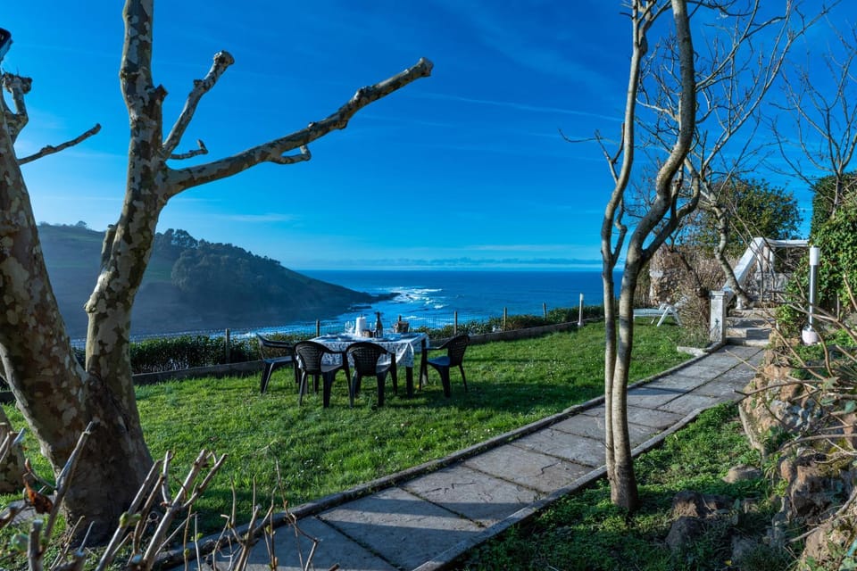 Patio, Garden, Garden view