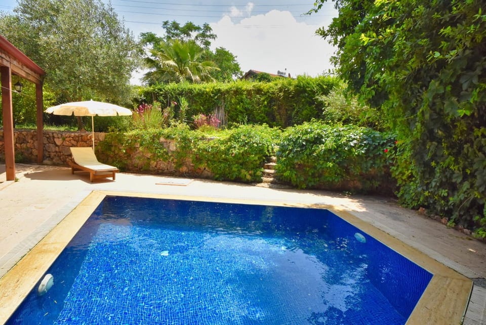 Patio, Natural landscape, Garden, Garden view, Pool view, Swimming pool, sunbed