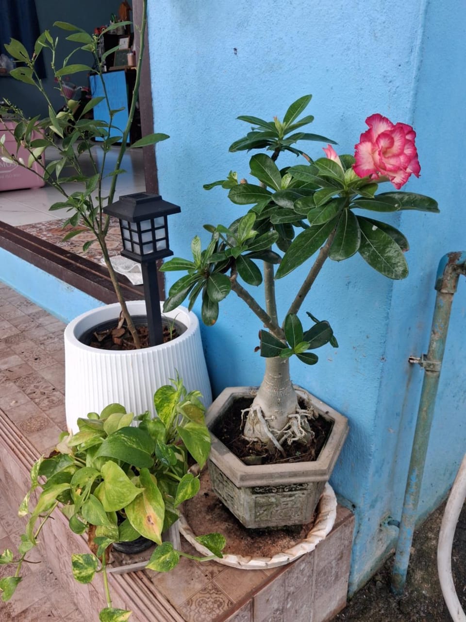 Baan KaemSai Apartment in Khuekkhak