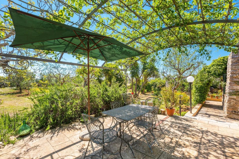 Patio, Natural landscape, Garden, Garden view