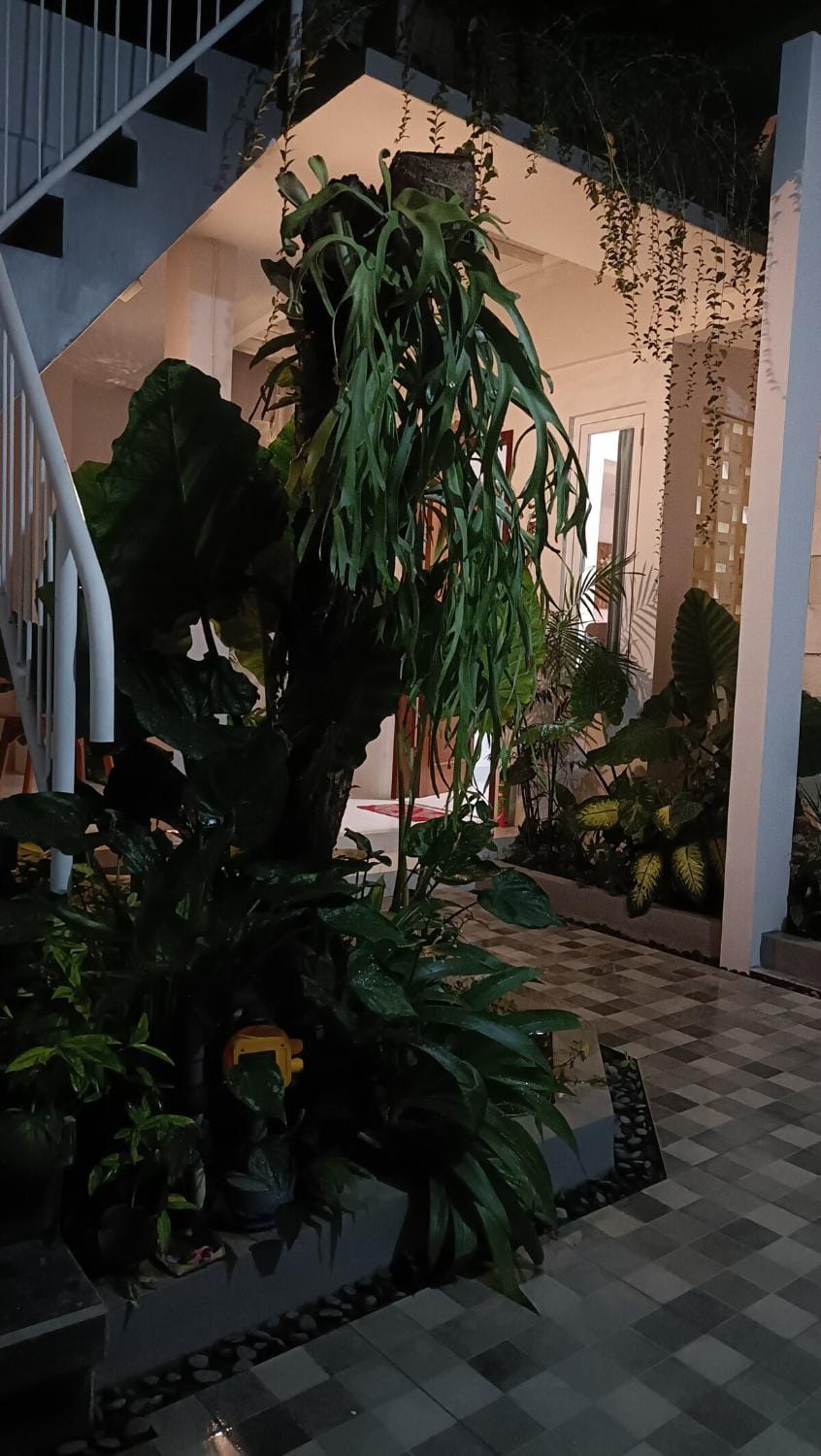 Guest House Djumah Damai Villa in Blahbatuh