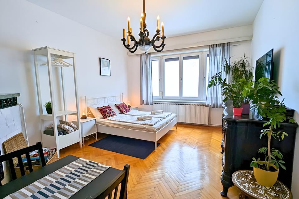 Bed, TV and multimedia, Dining area