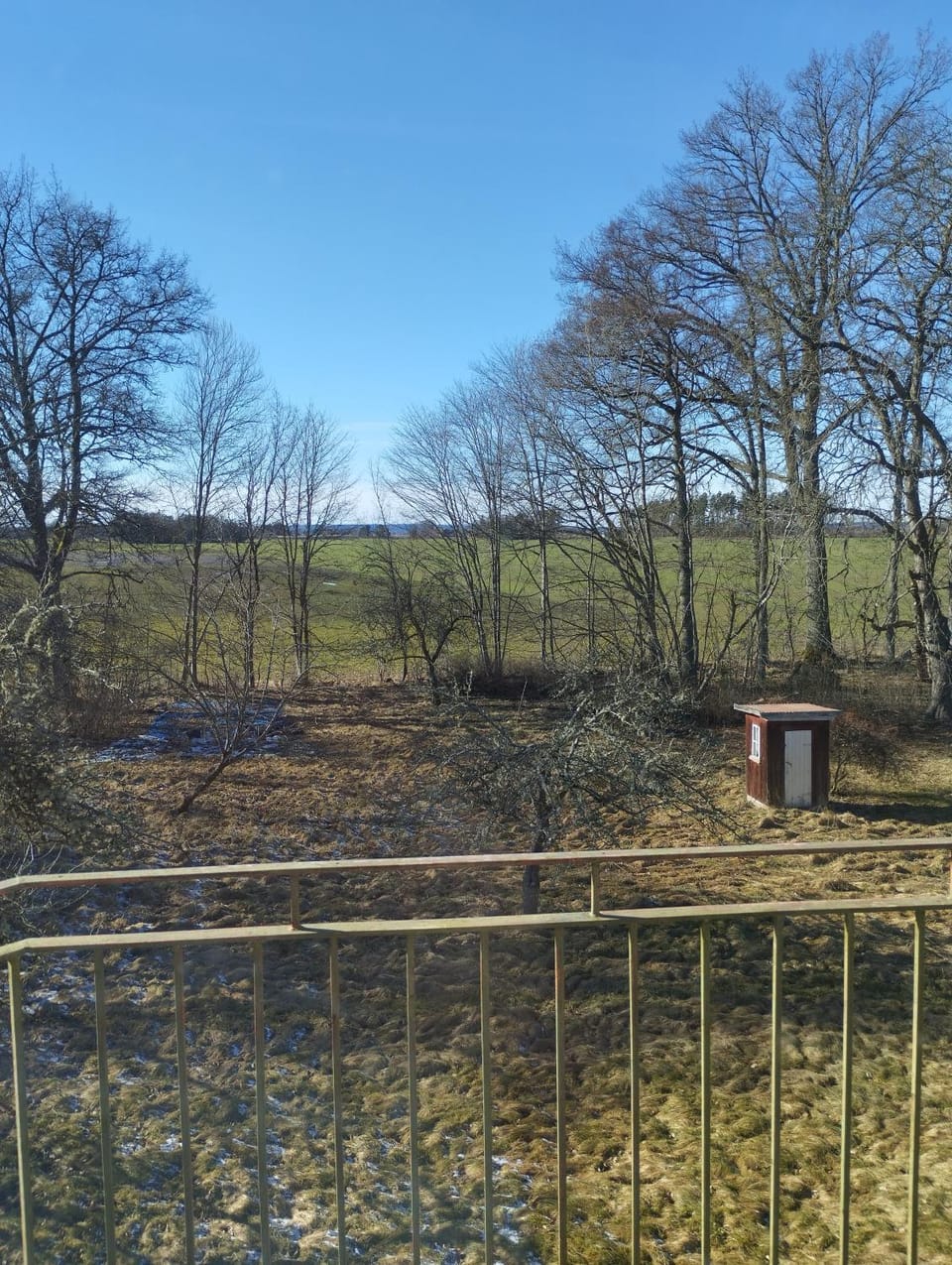 Natural landscape, View (from property/room)