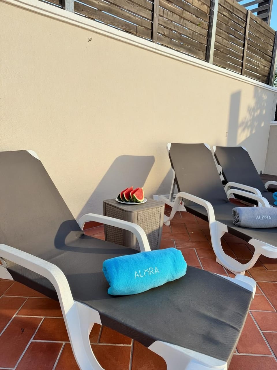 Balcony/Terrace, sunbed