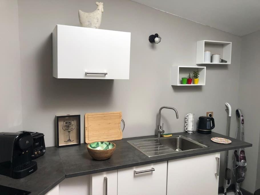 Nuits centre : superbe gîte rénové et climatisé Apartment in Bourgogne-Franche-Comté