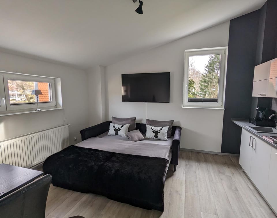 Bed, TV and multimedia, Kitchen or kitchenette, Photo of the whole room, Evening entertainment