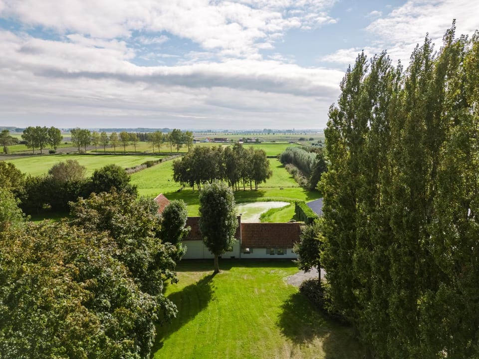 Property building, Garden view
