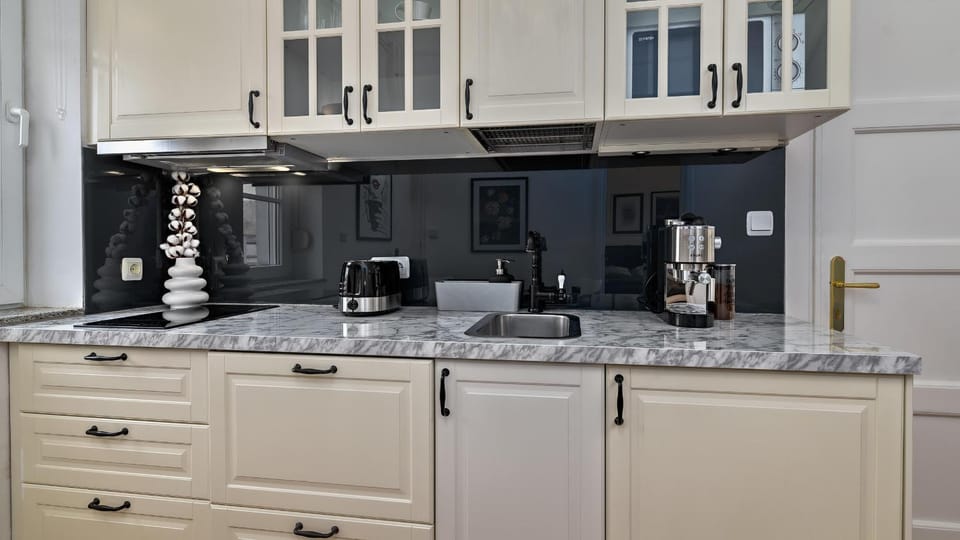 Kitchen or kitchenette, dishwasher, stove