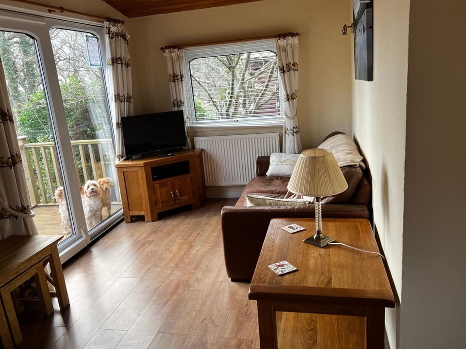Old Mill Retreat, by River/Sea/Country Nr Barmouth Dogs Apartment hotel in Wales