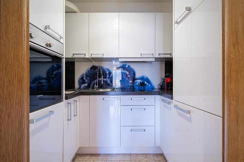 Kitchen or kitchenette, dishwasher, pet friendly, stove