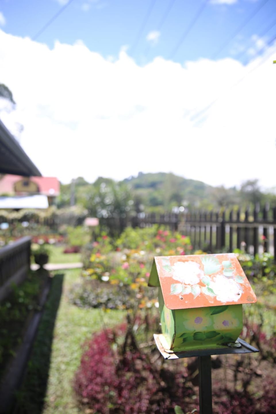 Cozy Home House in Chiriquí Province