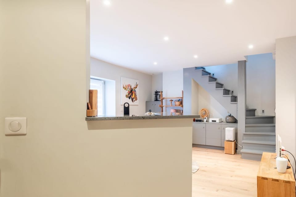 Le Passage du Château Apartment in Annecy