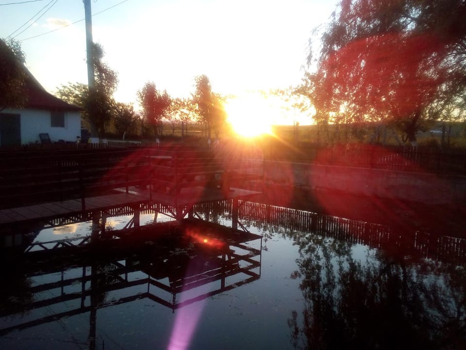 Pensiunea ,,La struti" Farm Stay in Romania