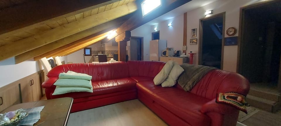 Panoramic House House in Romania