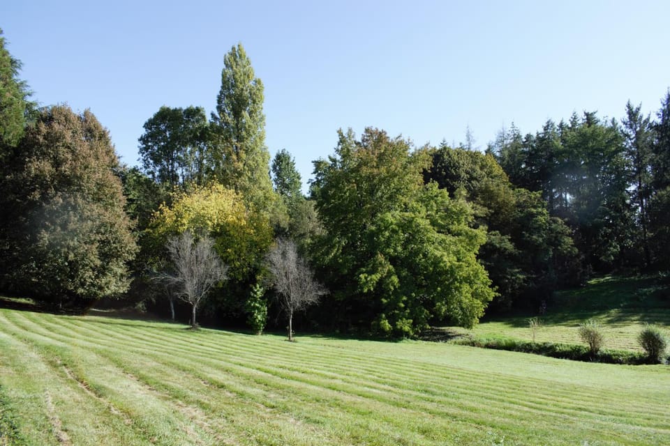 Garden, View (from property/room)