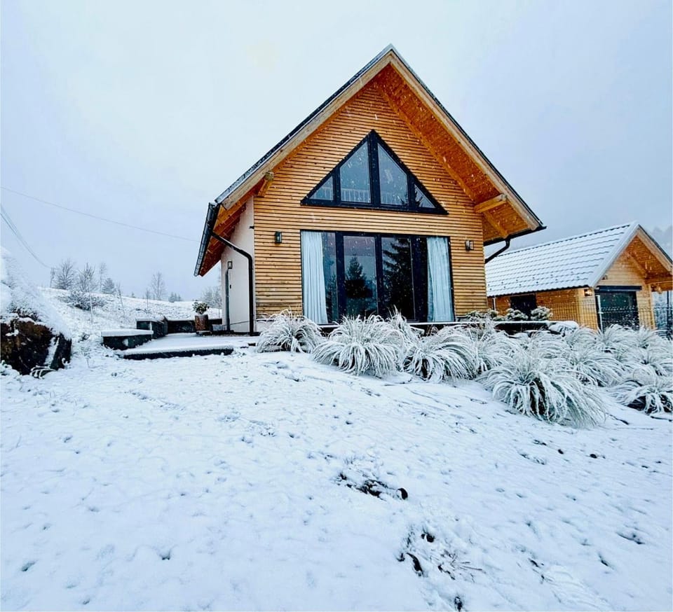 Property building, Facade/entrance, Day, Natural landscape, Winter, Garden, Sauna