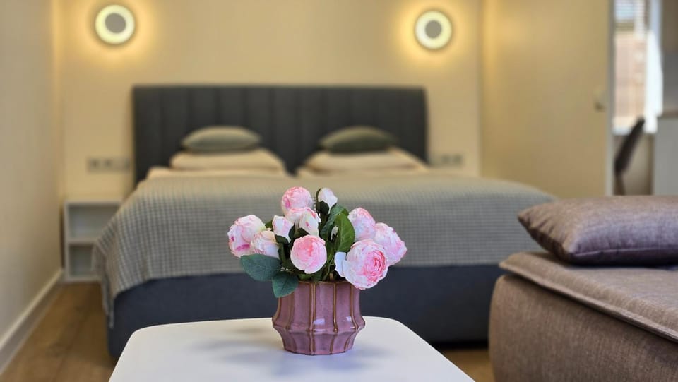 Studio Anna Apartment in Lithuania