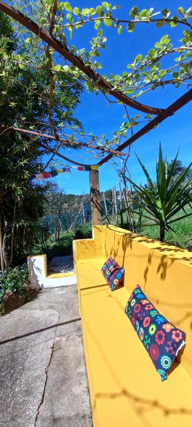 Garden, Garden view