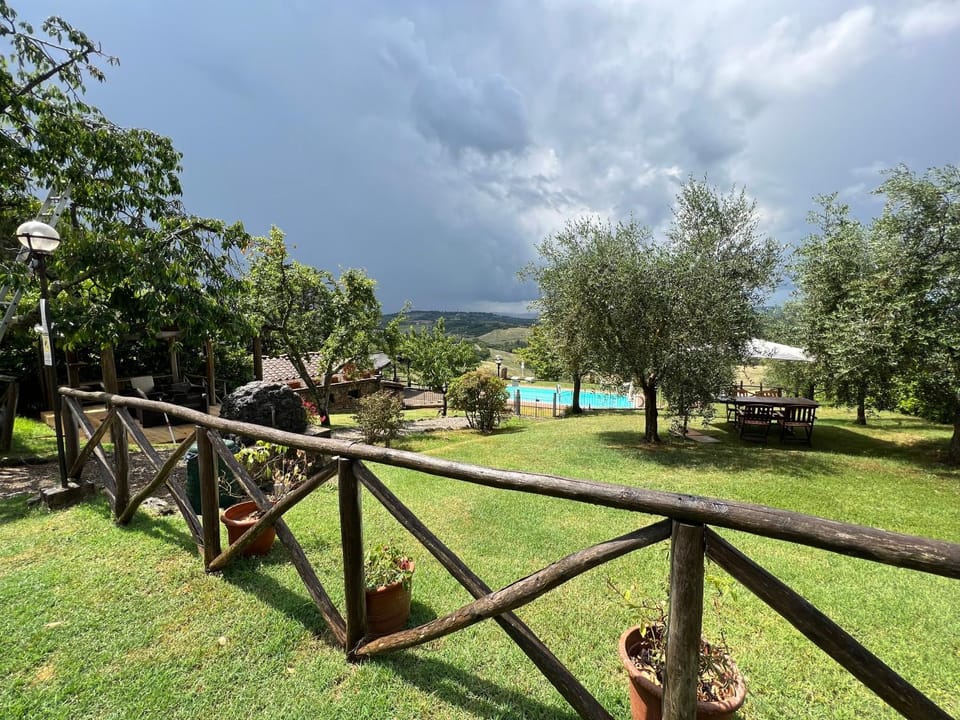 Natural landscape, Garden, Garden view, Pool view, Swimming pool