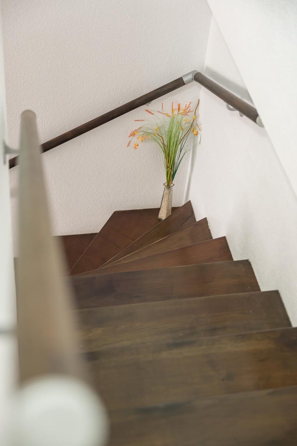 Apartmani Vesić Apartment in Kotor Municipality
