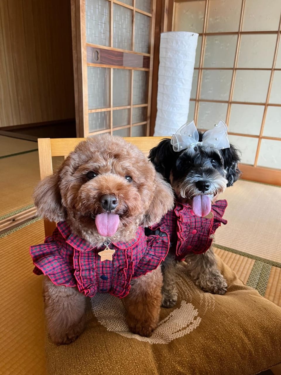 Yoshino Nagaya - Vacation STAY 16227 Apartment in Japan