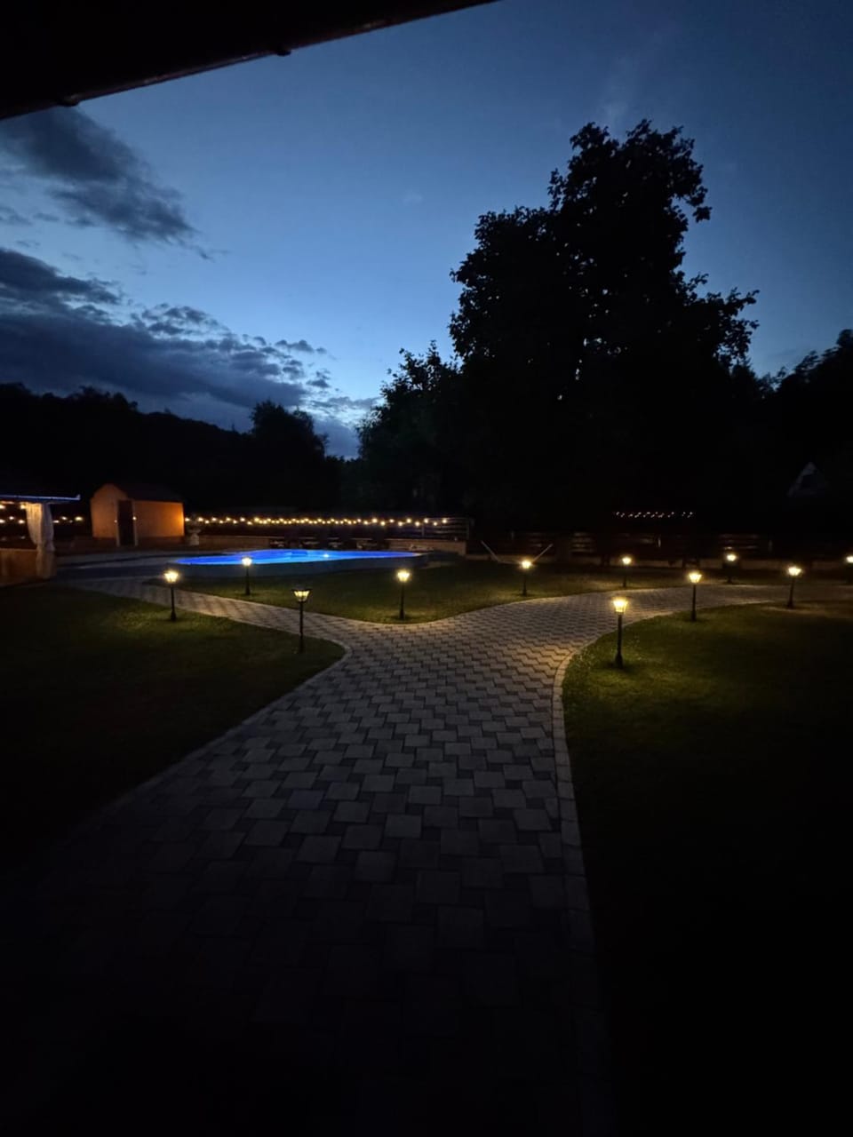 Night, Garden, Pool view