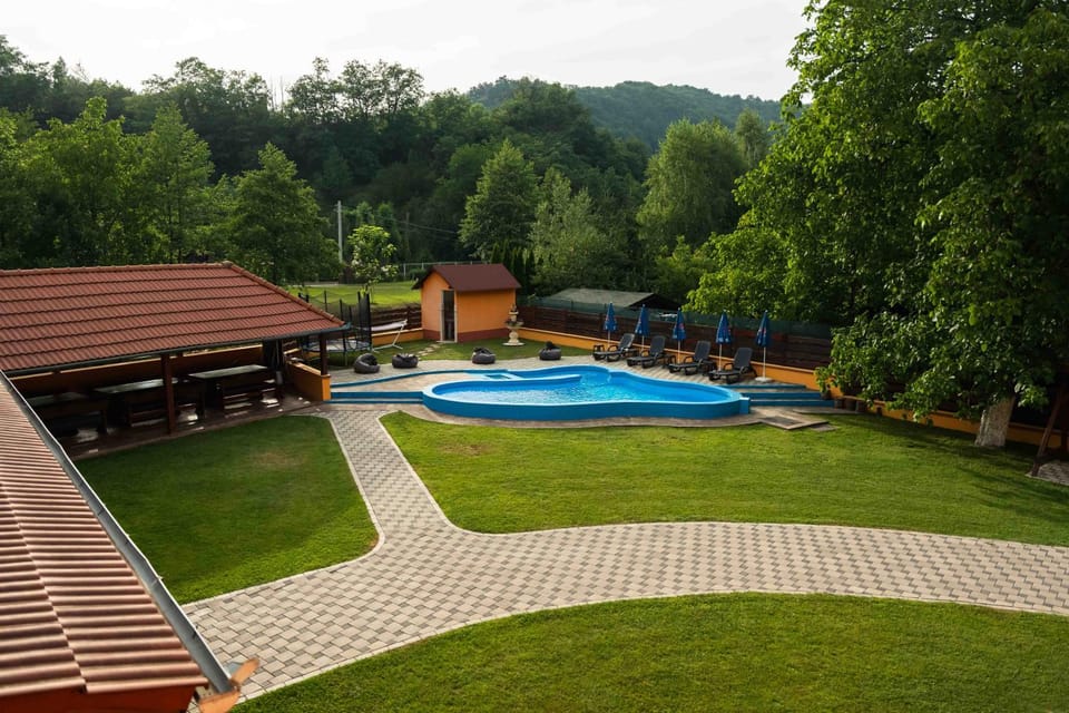 Natural landscape, Garden, Pool view, Swimming pool
