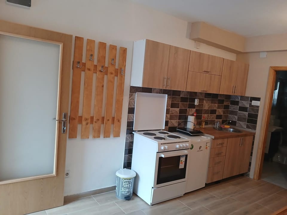 Kitchen or kitchenette, oven, stove