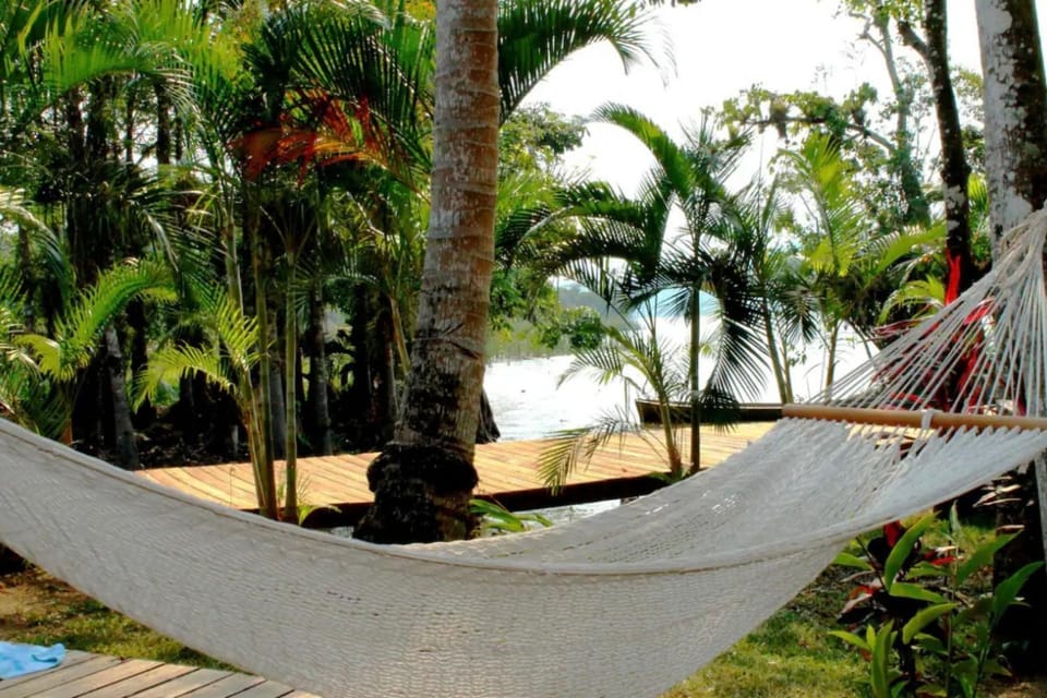 Natural landscape, Garden view