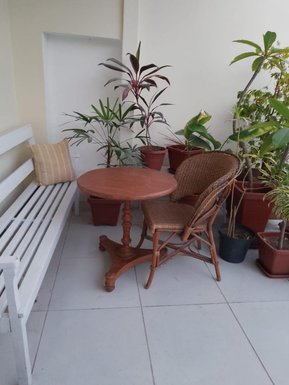 Casa Canto dos Pássaros Vacation rental in Salvador