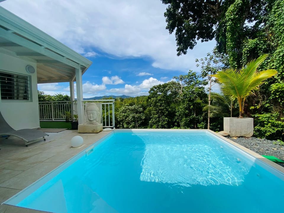 Natural landscape, Pool view, Swimming pool, sunbed