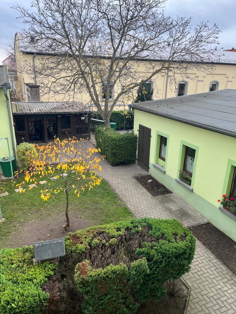 Garden view