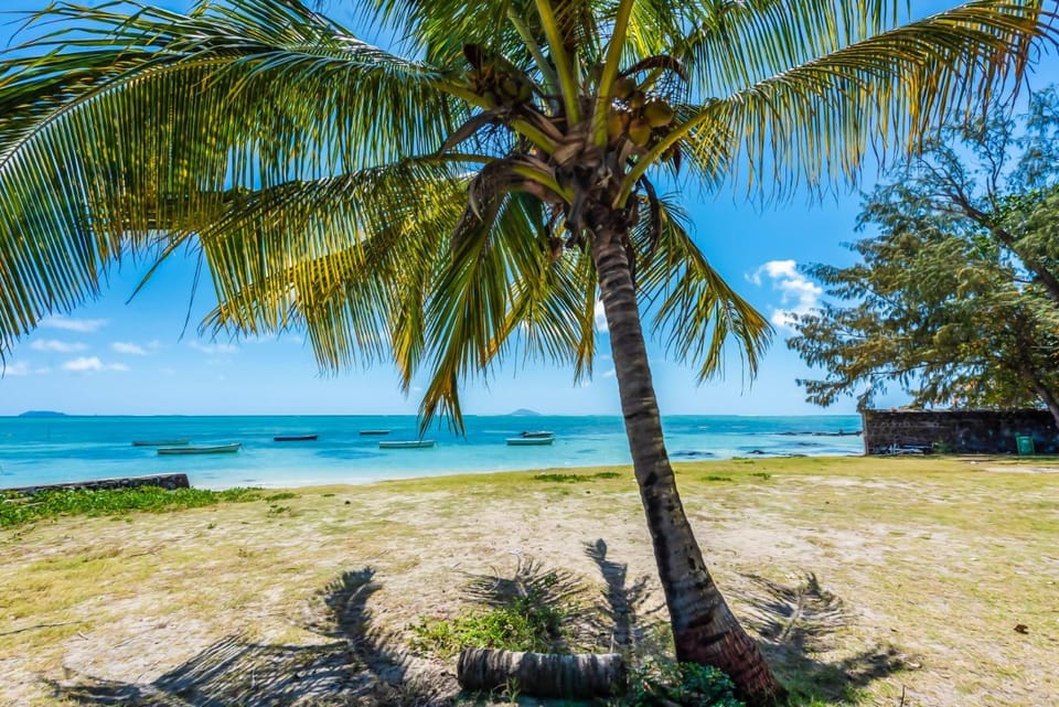 Day, Natural landscape, Beach