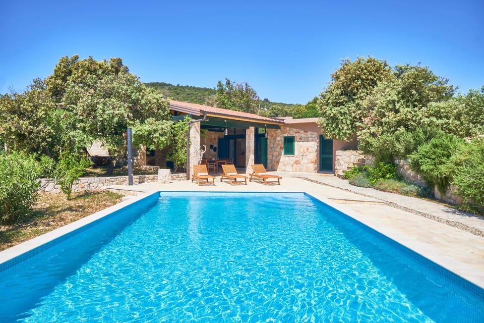 Day, Natural landscape, Garden, Pool view, Swimming pool, sunbed