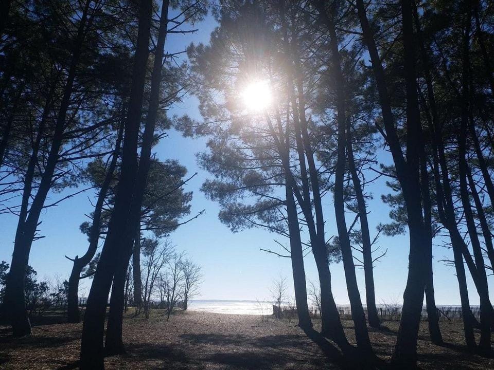 Camping Les Goélands - Maeva Campground/ 
RV Resort in Andernos-les-Bains